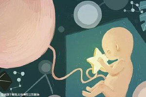 国内借卵借卵代孕网